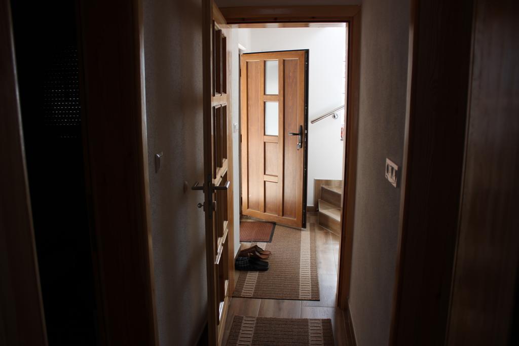 Apartments Zoni Власич Экстерьер фото